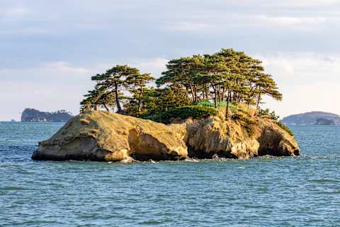 Flavors of Northern Japan: Tokyo to Hokkaido photo 4