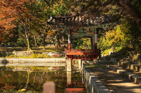 Seoul & the Mongolian Steppe photo 3