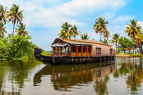 Classic South India photo 3