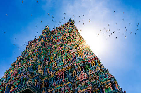 Classic South India photo 2