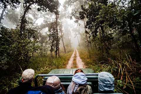 Nepal Signature: Jungles, Temples & Trekking photo 2