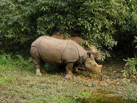 Nepal & Bhutan Explorer photo 1