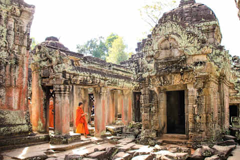 Cambodian Wildlife & Khmer Kingdom photo 1