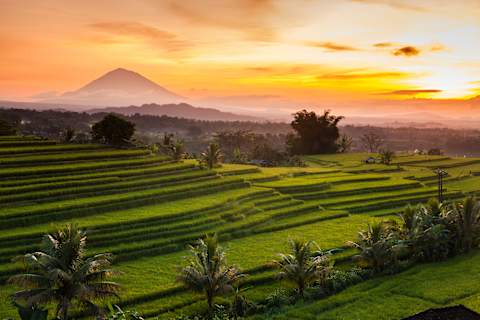 Islands and Jungles: Best of Bali & Lombok photo 4
