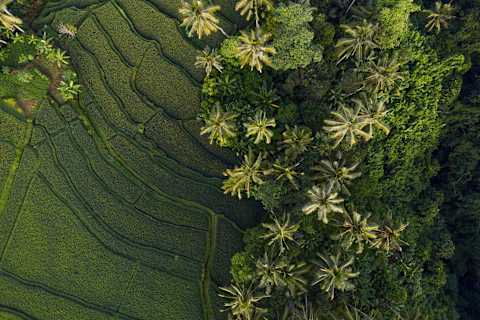 Luxury Singapore & Bali photo 3
