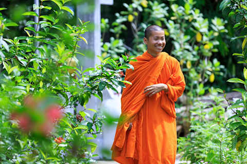 Laos Exclusive photo 2