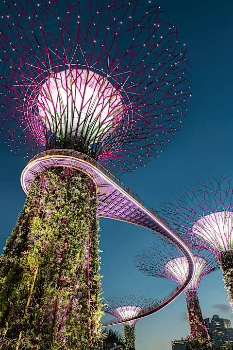 Malaysia and Singapore Highlights photo 2