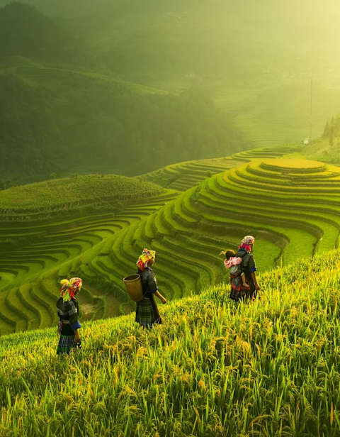 Vietnam, Cambodia & Thailand Signature photo 3