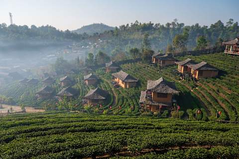 Kingdoms of Thailand: History & Culture photo 4