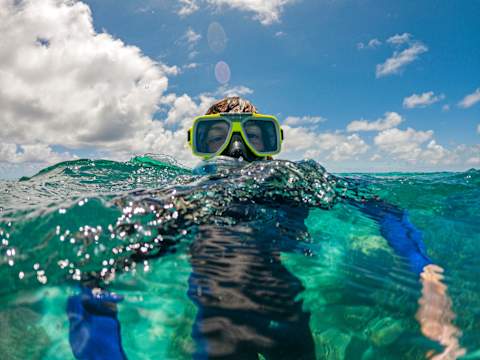 Australia for Families: Beach & Wildlife photo 2