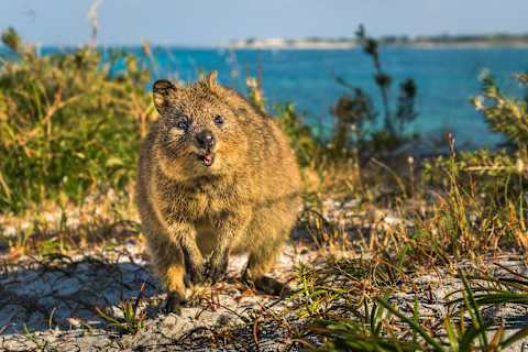 Western Australia In-Depth photo 4