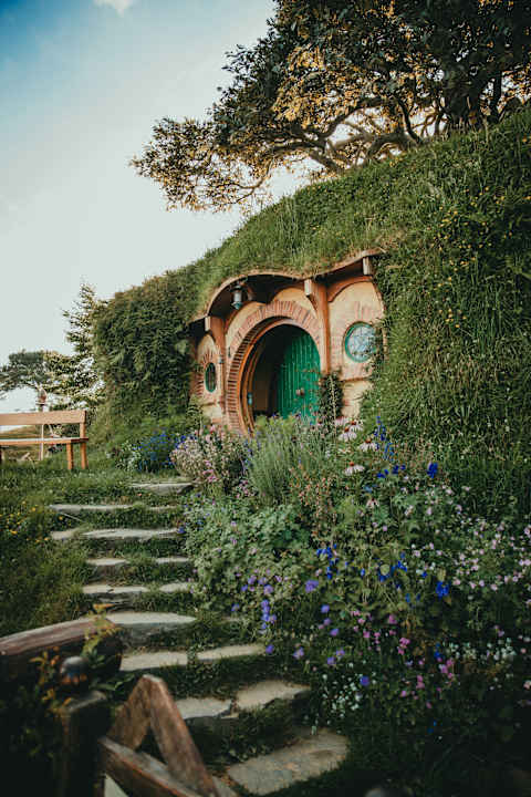 New Zealand Family Vacation photo 2