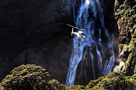 New Zealand Signature photo 4