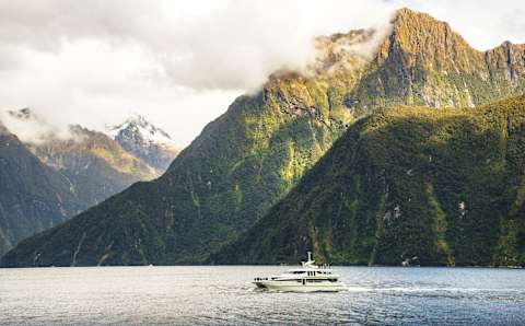 New Zealand Signature photo 1