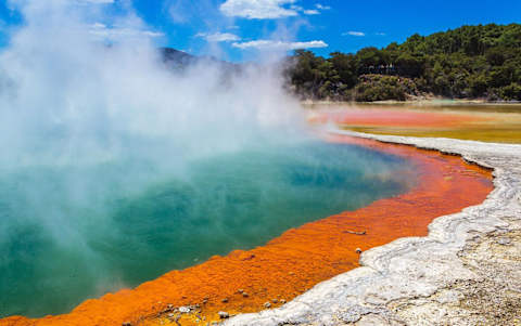 New Zealand Signature photo 2