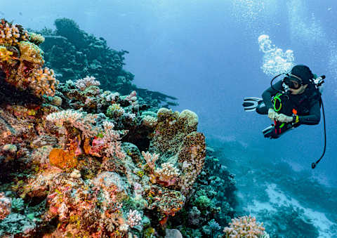 Sydney, Rock, & Reef Explorer photo 1
