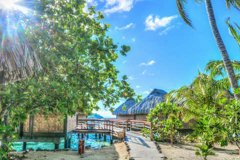 Decadent Polynesian Paradise  photo 4