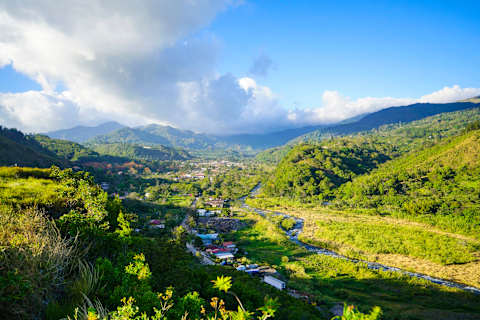 Cloudforest and Caribbean Islands photo 1