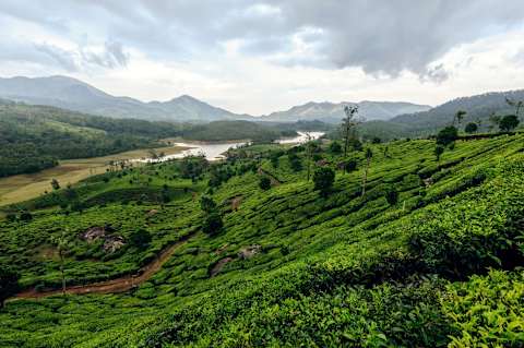 India's North & South: Taj Mahal to Kerala Backwaters photo 4