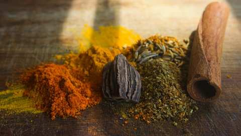 South India Teas, Spices & Kerala Backwaters photo 4