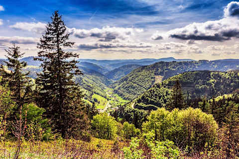 Berlin, Bavaria & Black Forest photo 4