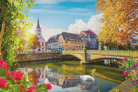 Exclusive Rhine Valley & Black Forest photo 1