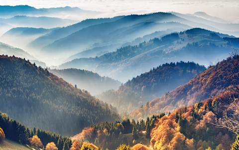 Exclusive Rhine Valley & Black Forest photo 3