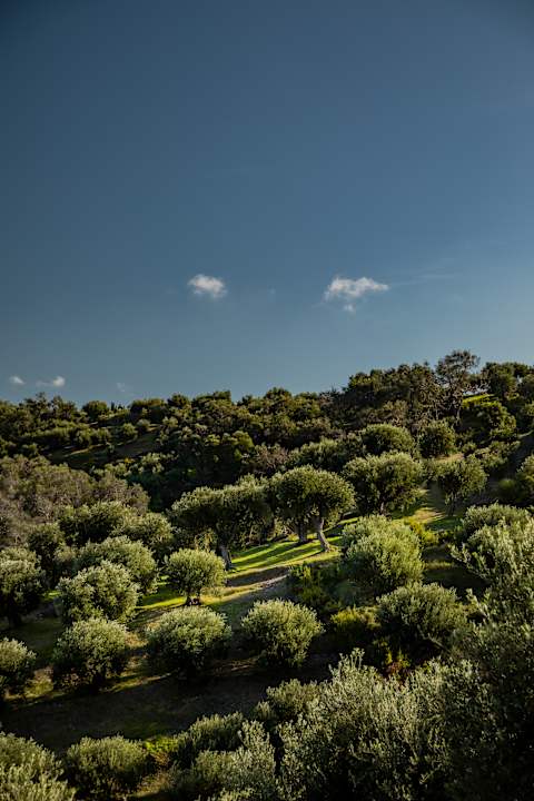 Legends & Coastlines of Corfu photo 2
