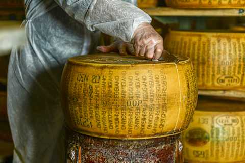 Savoring Northern Italy: Barolo Wines & Bologna photo 4