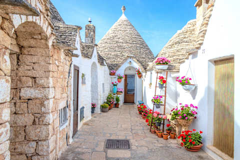 Positano to Puglia: Italian Coasts Unveiled photo 4