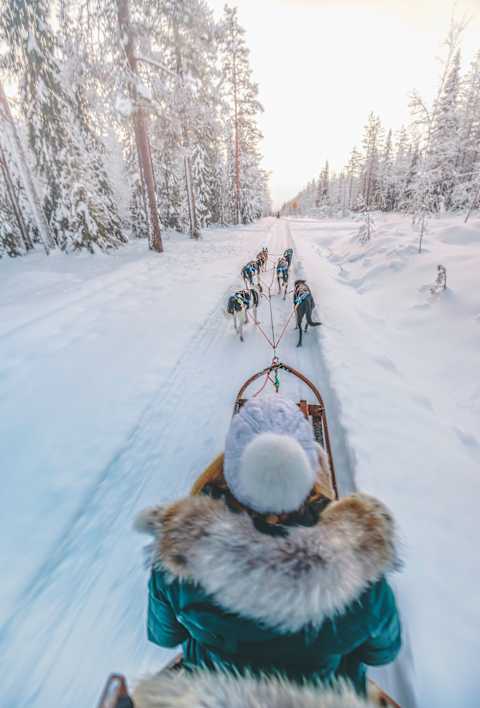 Helsinki & the Northern Arctic photo 2