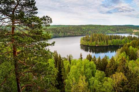 The Treasures of Finnish Lakeland photo 3