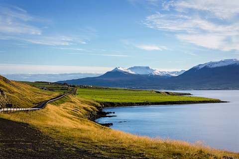 Iceland: Wildlife & Arctic Coast photo 4