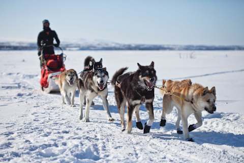 Alaska: Denali, Lakes & Glaciers photo 4