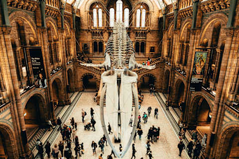 London Family Fun: Museums, Musicals & Pop Culture photo 3