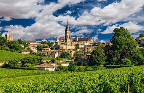 A Taste of Bordeaux & Basque Region photo 3