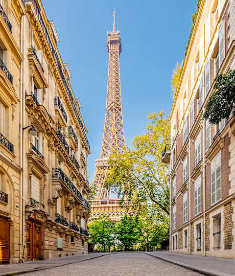 Eiffel Tower to Estate Wines: Burgundy & Bordeaux photo 3