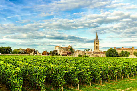 Eiffel Tower to Estate Wines: Burgundy & Bordeaux photo 2