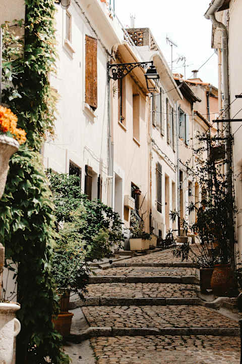 The Essence of Provence photo 2