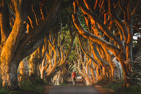 Coastal Heritage of Ireland & Northern Ireland photo 1
