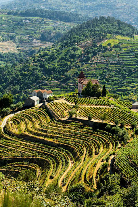 Lisbon Flavors & Porto Wine photo 2