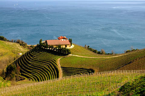 The Food & Wine Wonders of Spain photo 2