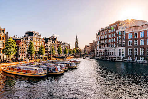 Amsterdam to Normandy: A Journey Through Wartime Europe photo 2