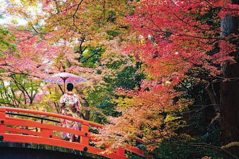 Japan's Fall Colors & Cultural Highlights photo 1