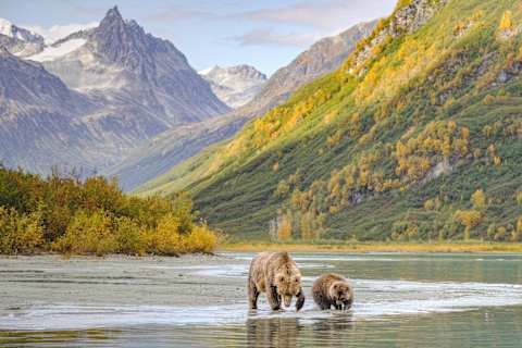 Alaska: Denali, Lakes & Glaciers photo 1