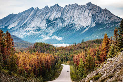 Rockies Road Trip: Banff to Jasper by Car photo 1