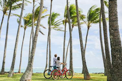 Laidback in Lush Kauai photo 2