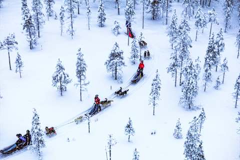 Finland Winter Family Fun photo 3