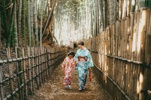 Japan Heritage Tour: Ancestry & Tradition photo 1
