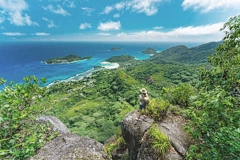 Seychelles Island Getaway photo 2